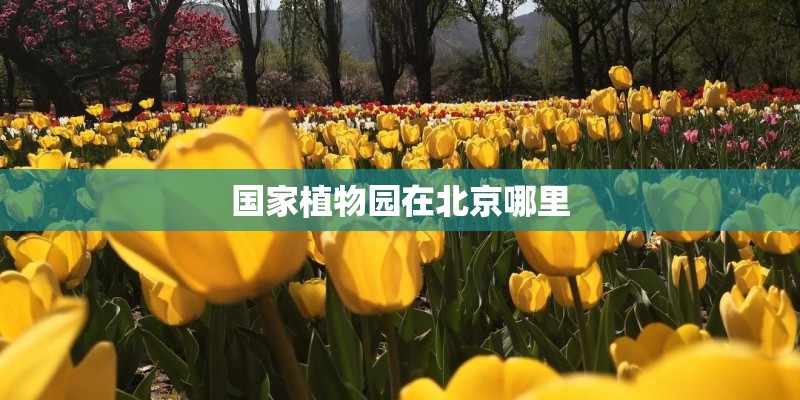 国家植物园在北京哪里
