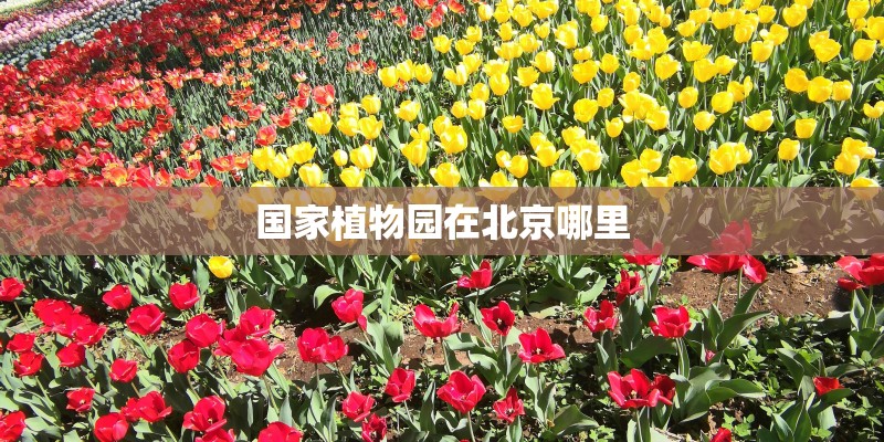 国家植物园在北京哪里