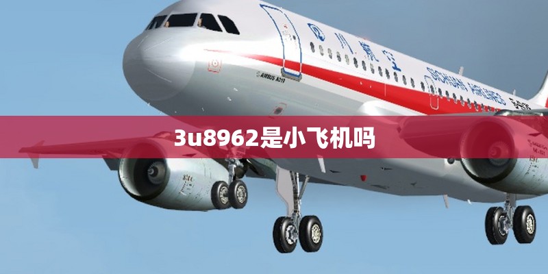 3u8962是小飞机吗