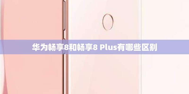 华为畅享8和畅享8 Plus有哪些区别