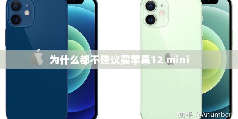 为什么都不建议买苹果12 mini