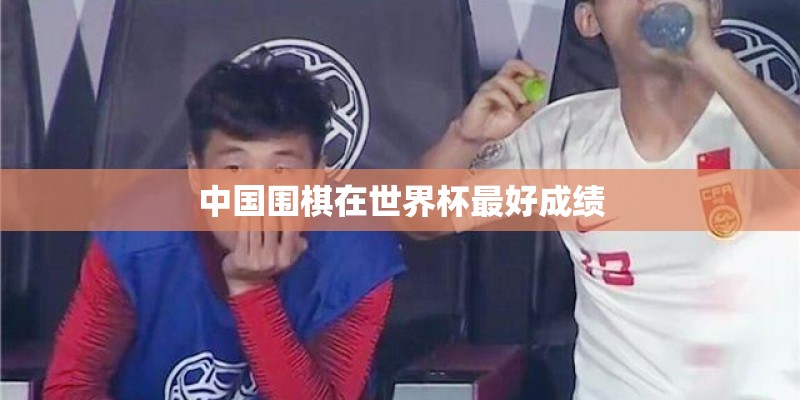 中国围棋在世界杯最好成绩