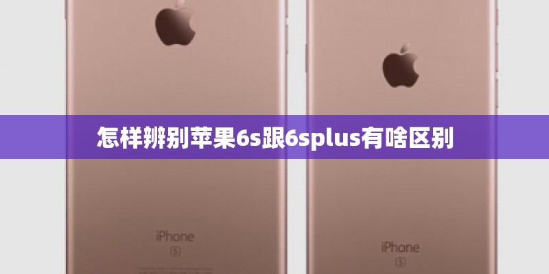 怎样辨别苹果6s跟6splus有啥区别