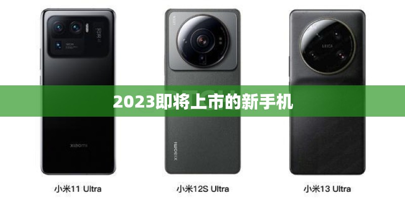 怎么看vivox5m是不是全网通手机？