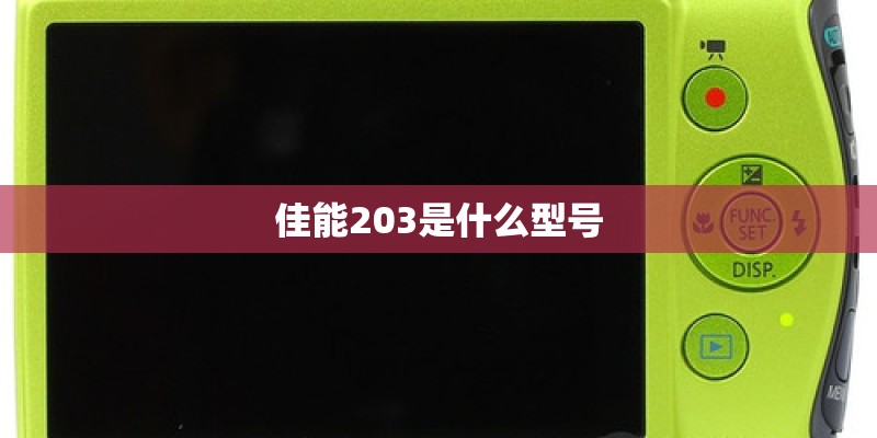 佳能203是什么型号 佳能203是什么型号