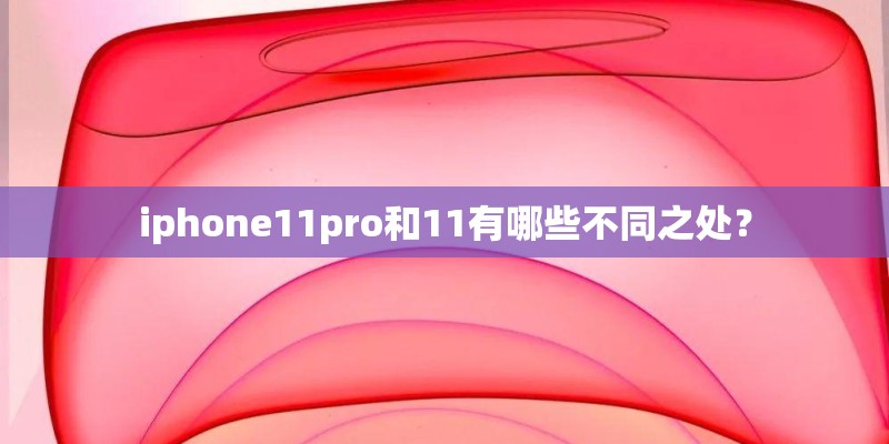 iphone11pro和11有哪些不同之处? iphone11pro和11有哪些不同之处?