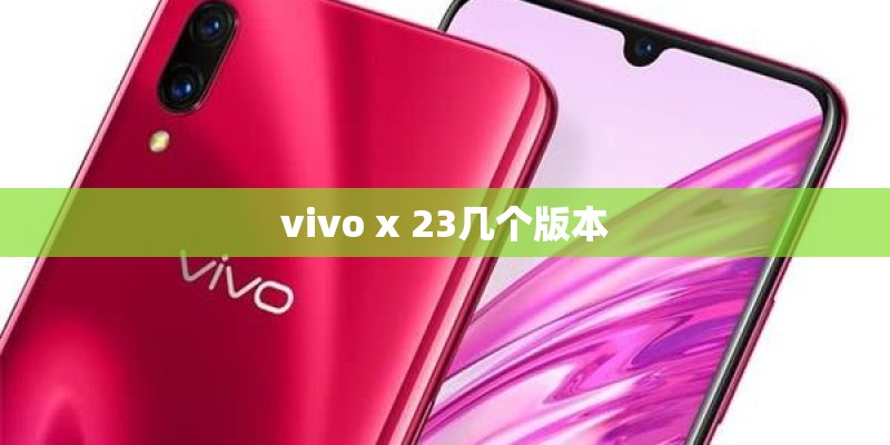 vivo x 23几个版本 vivo x 23几个版本