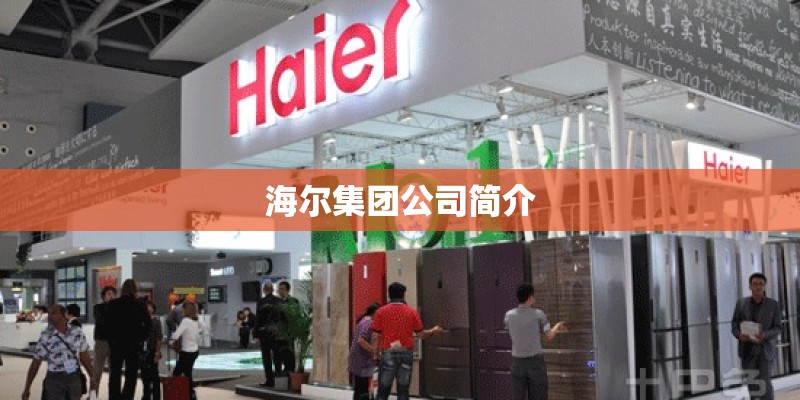 海尔集团公司简介 海尔集团公司简介
