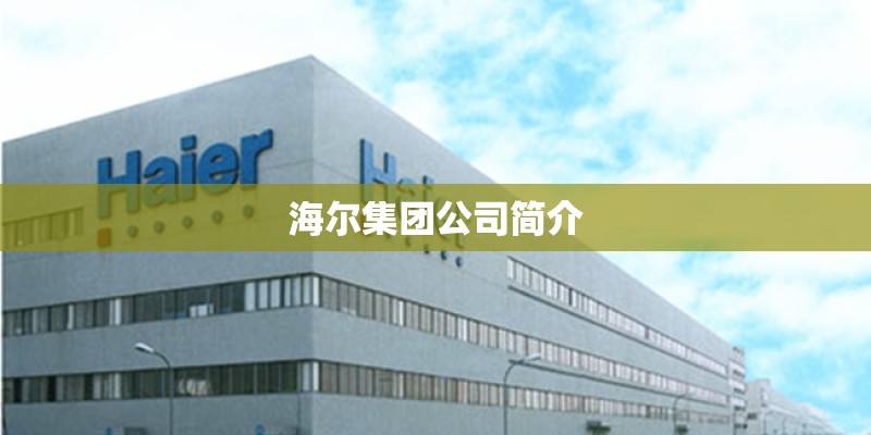 海尔集团公司简介 海尔集团公司简介