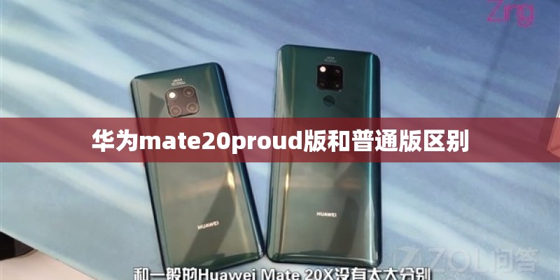oppor15梦境版移动版能支持两张移动卡4g吗