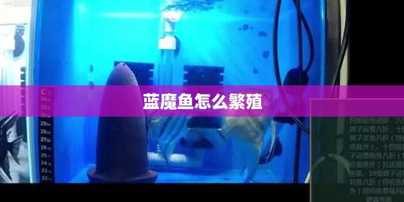 华硕主板售后质保服务几年啊？