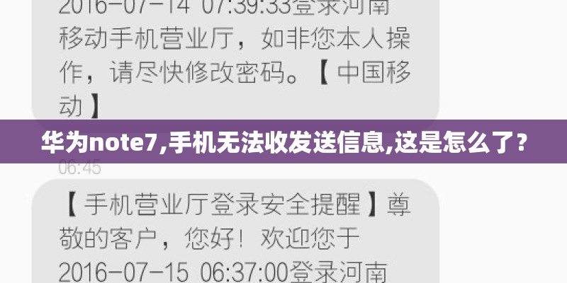茴香菜什么时候种