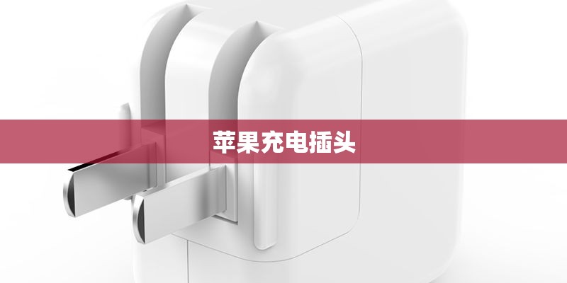 苹果充电插头