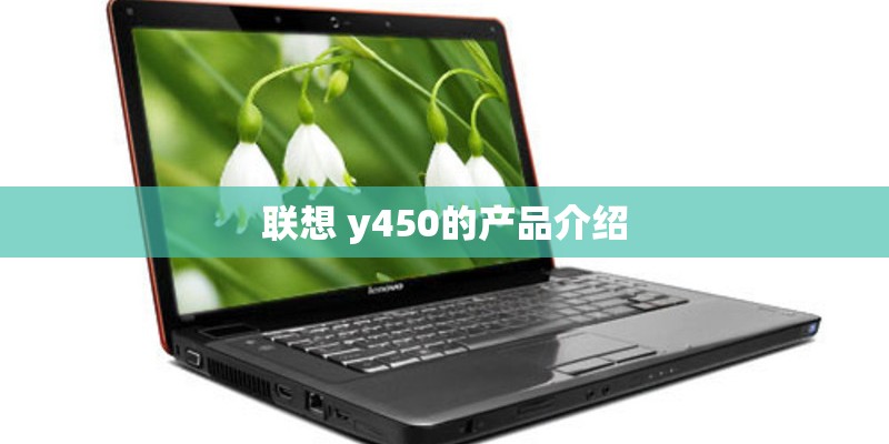 联想 y450的产品介绍